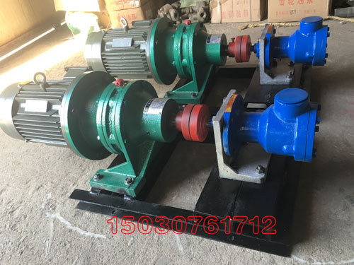 NCB系列高粘度轉子泵 NCB系列高粘度轉子泵